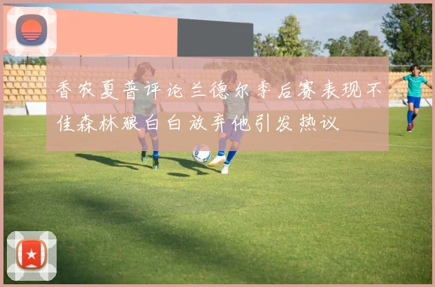香农夏普评论兰德尔季后赛表现不佳森林狼白白放弃他引发热议
