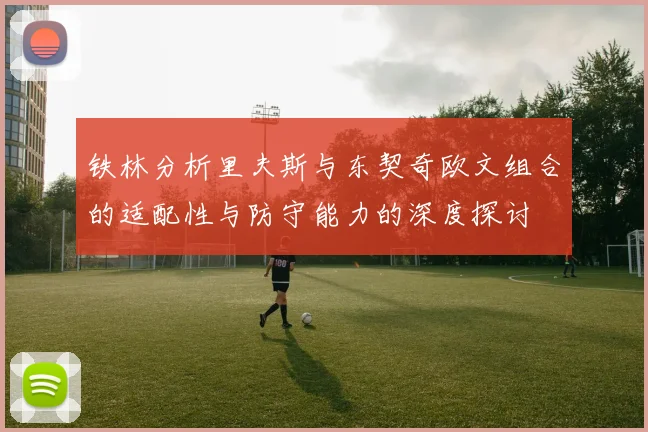 铁林分析里夫斯与东契奇欧文组合的适配性与防守能力的深度探讨