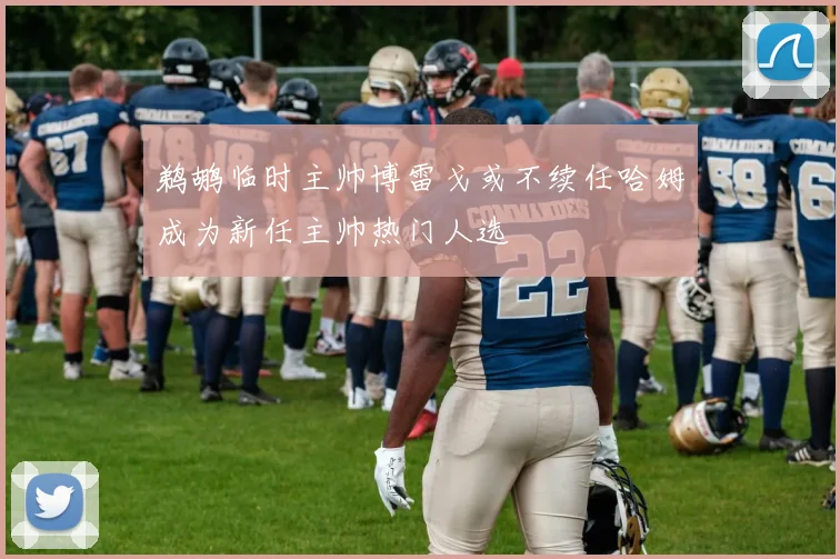 鹈鹕临时主帅博雷戈或不续任哈姆成为新任主帅热门人选